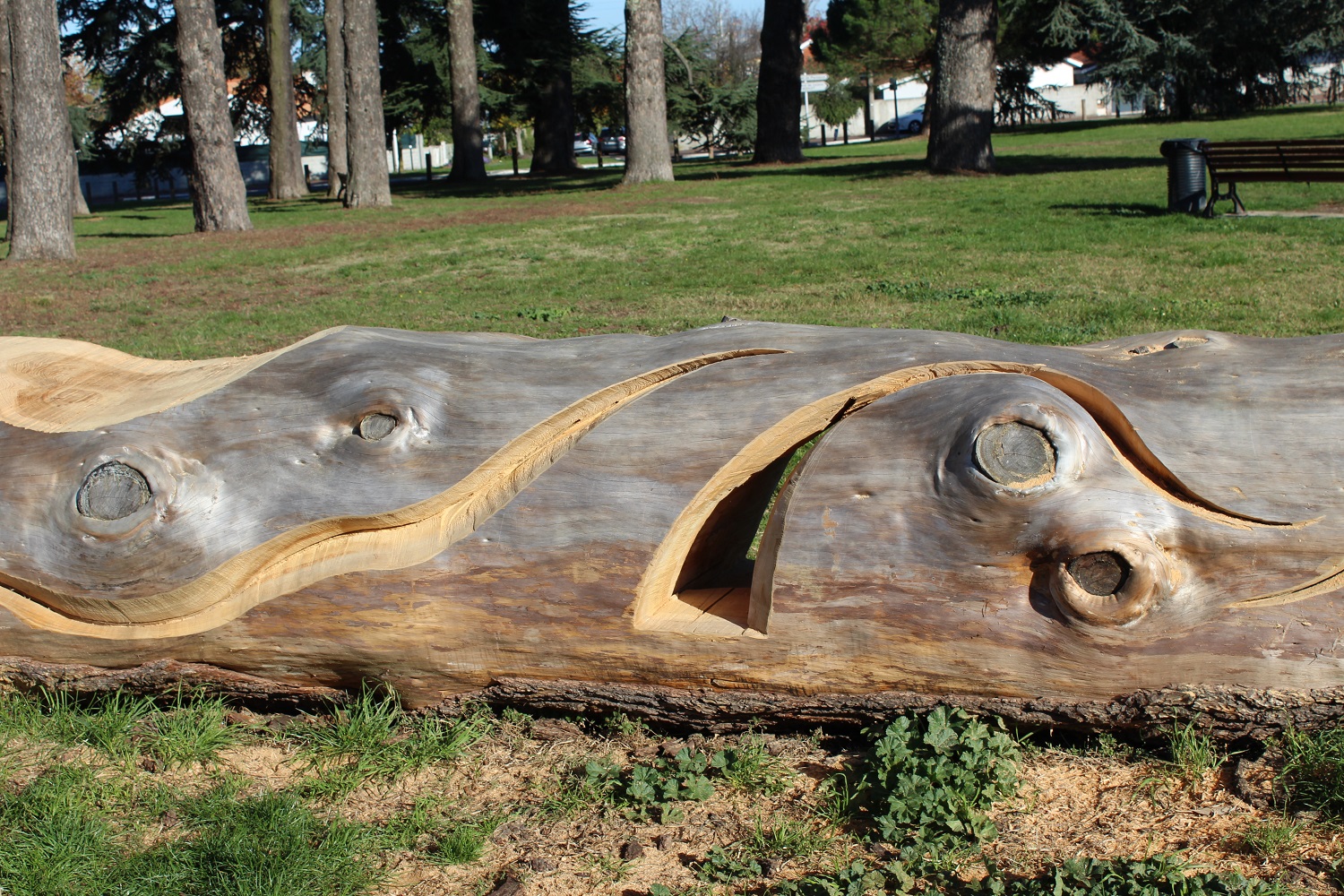Détail de la sculpture de cèdre