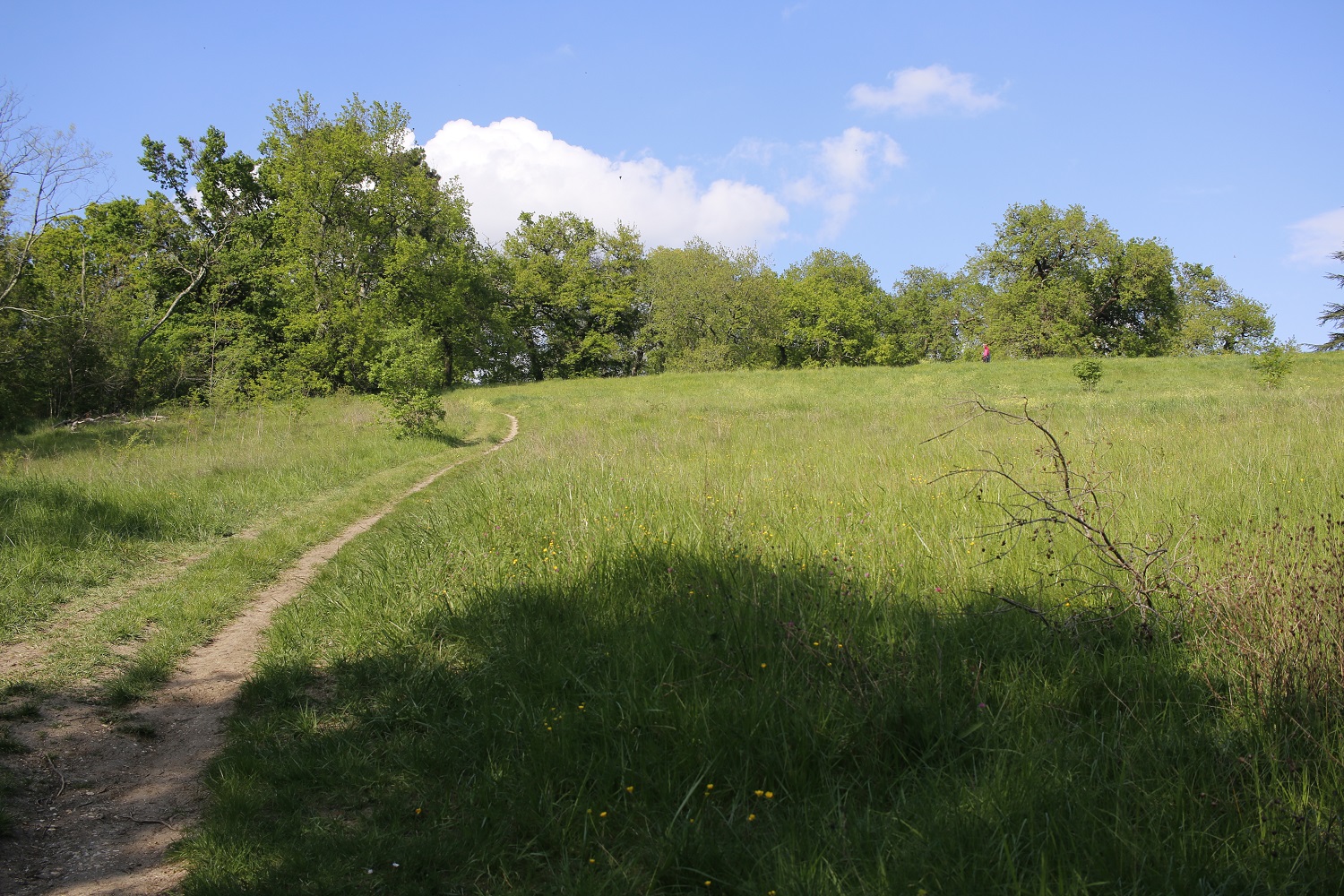 parc palmer