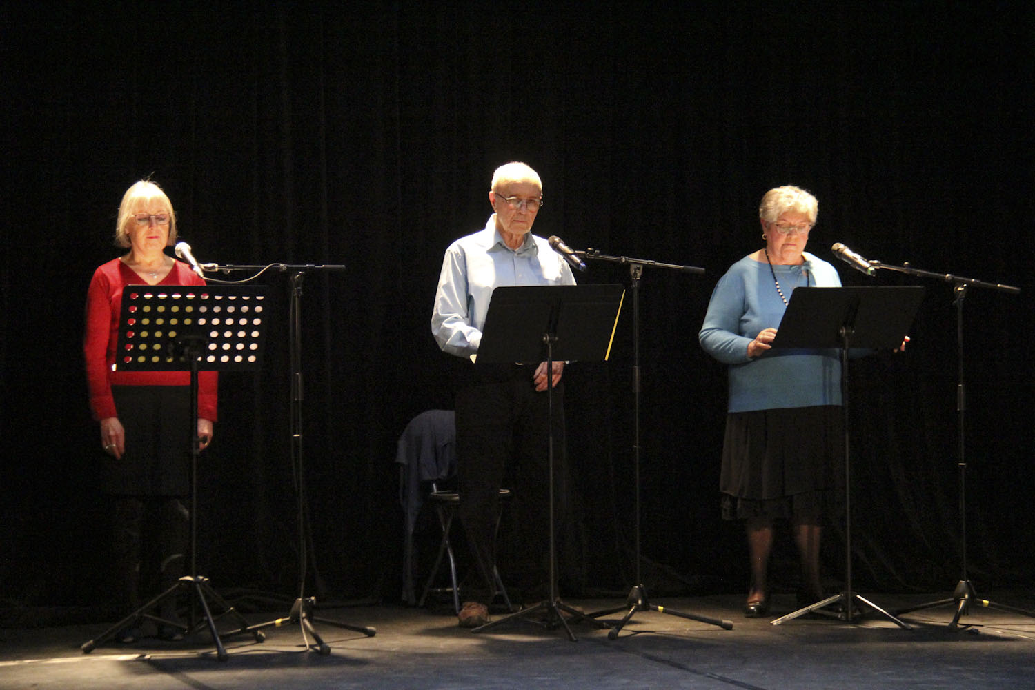 les chanteurs
