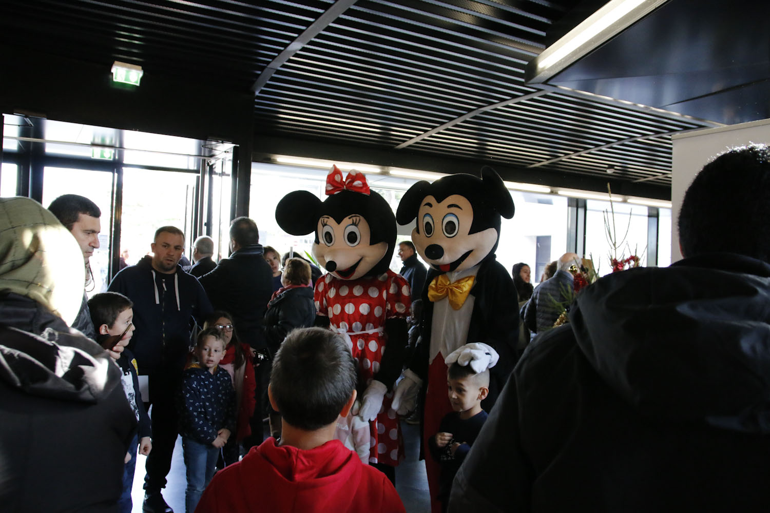 les familles reçues par mickey et minnie