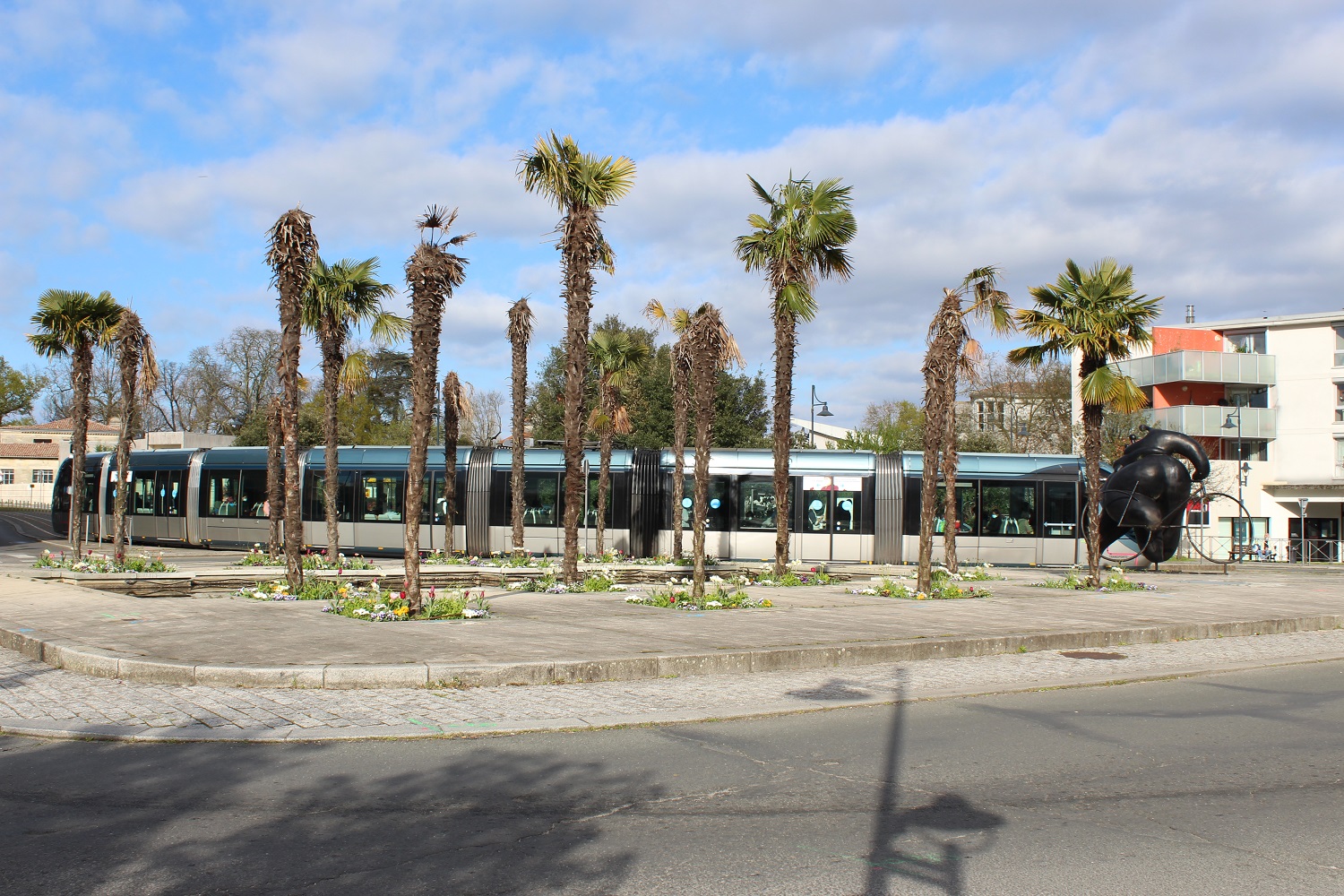 en 2021, la même place dévastée par le papillon du palmier