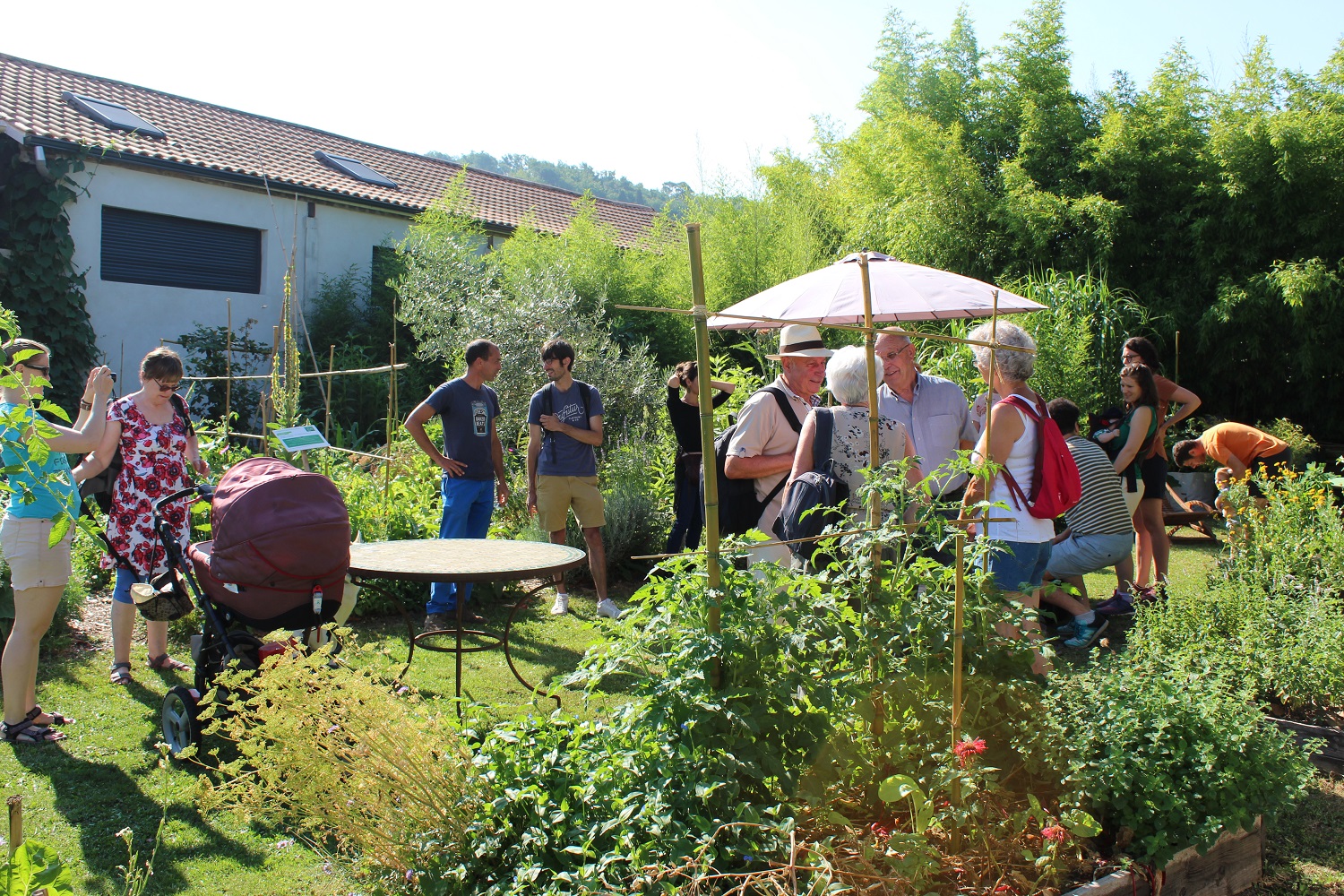 dans le jardin de Nathalie Germaine Veille