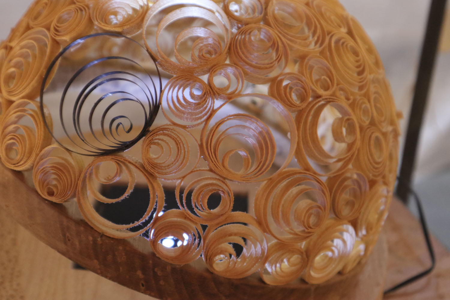 Les sculptures en dentelle de carton par Cannelures et lumière