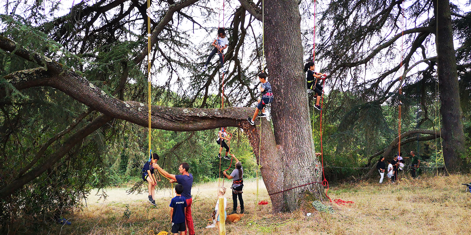 Atelier de grimpe d'arbres