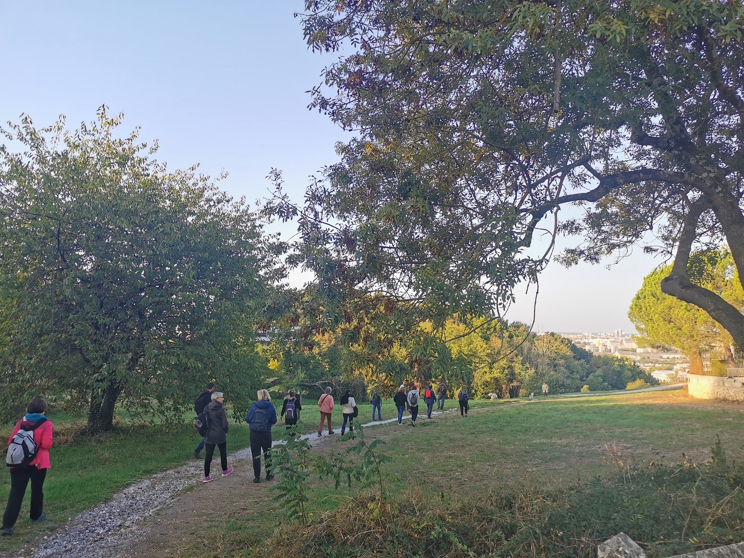 Balade d'observation au parc Palmer 