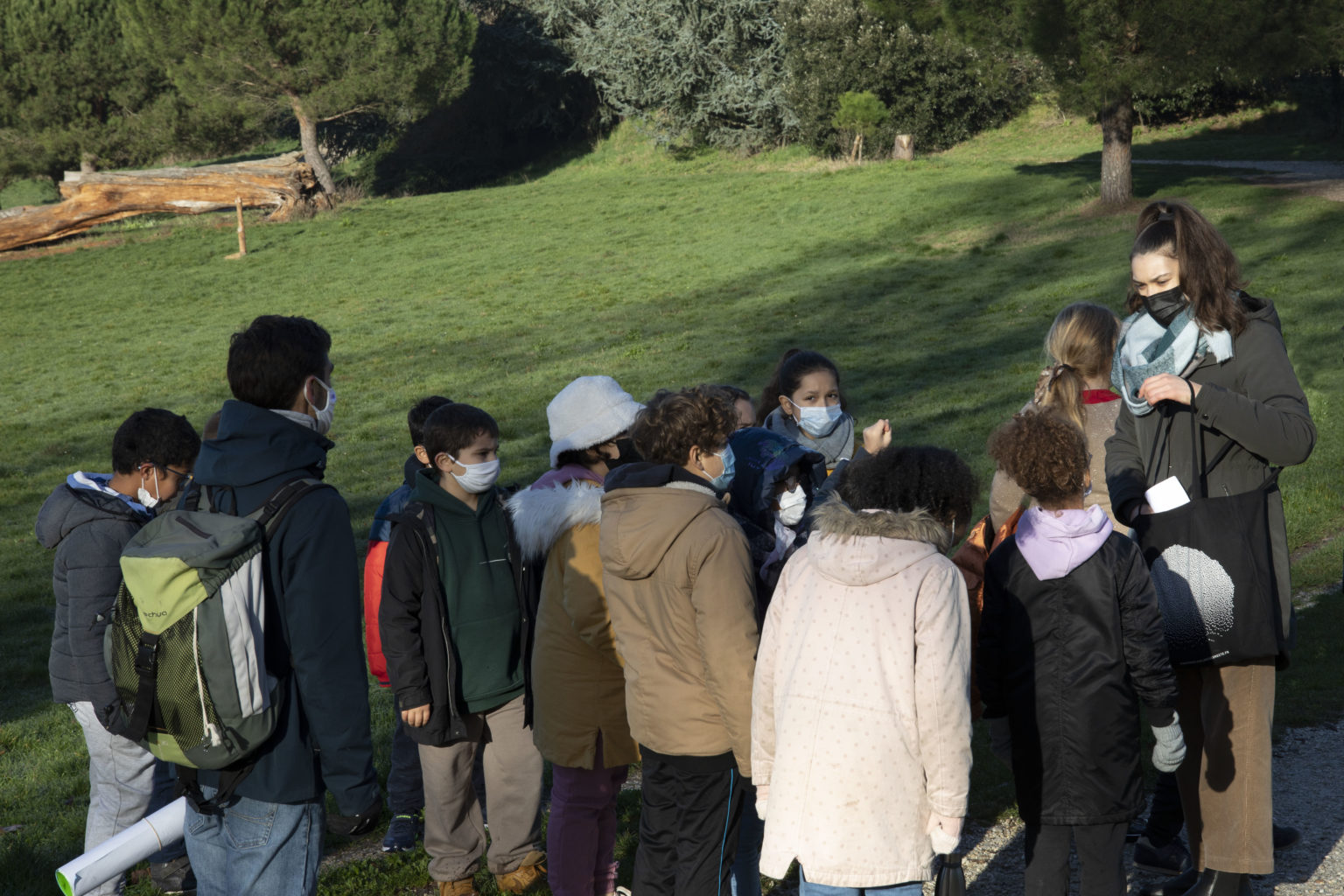 Classe panoramas en visite au parc Palmer