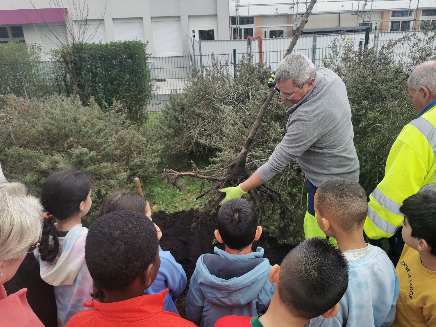 Plantation arbre à l'école Michelet