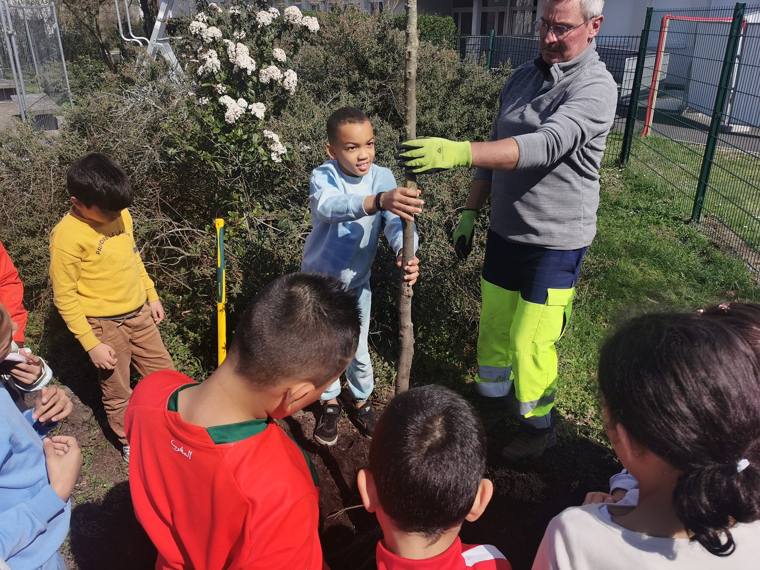 Plantation arbre école Michelet