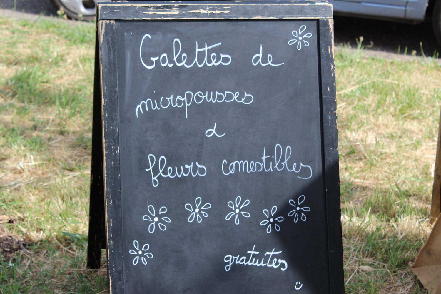 printemps de sellier