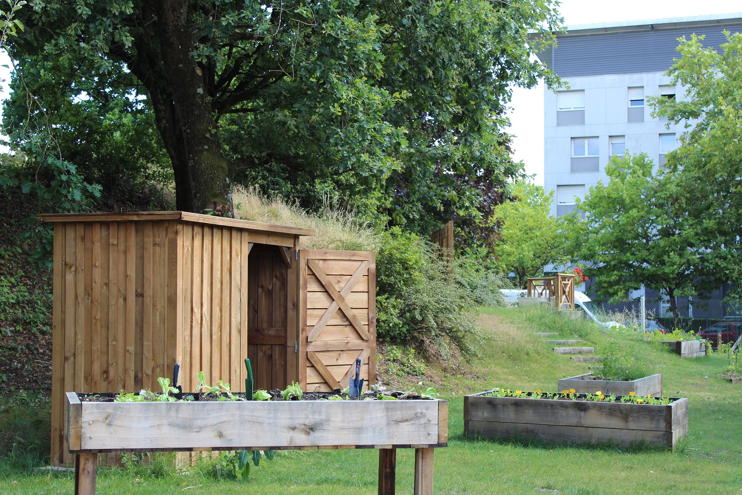 jardin d'RV