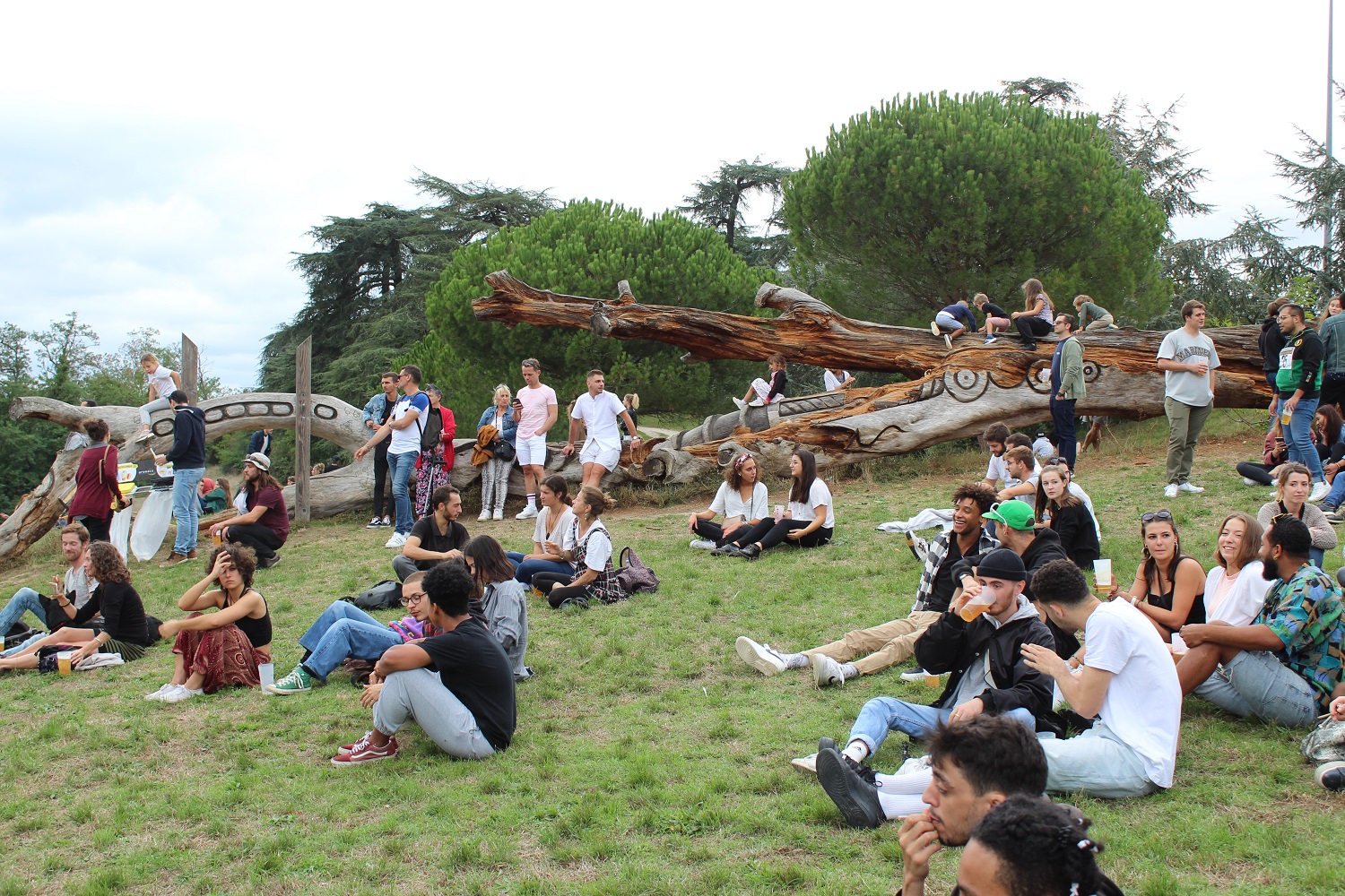 gros rassemblement autour du pin couché lors de B.O.A 2019
