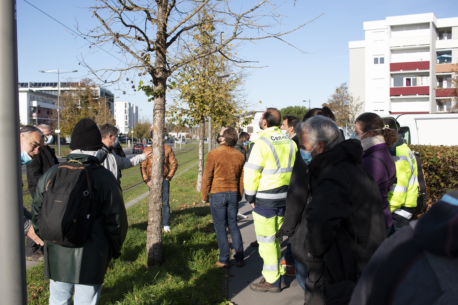 module «taille des arbres et arbustes».
