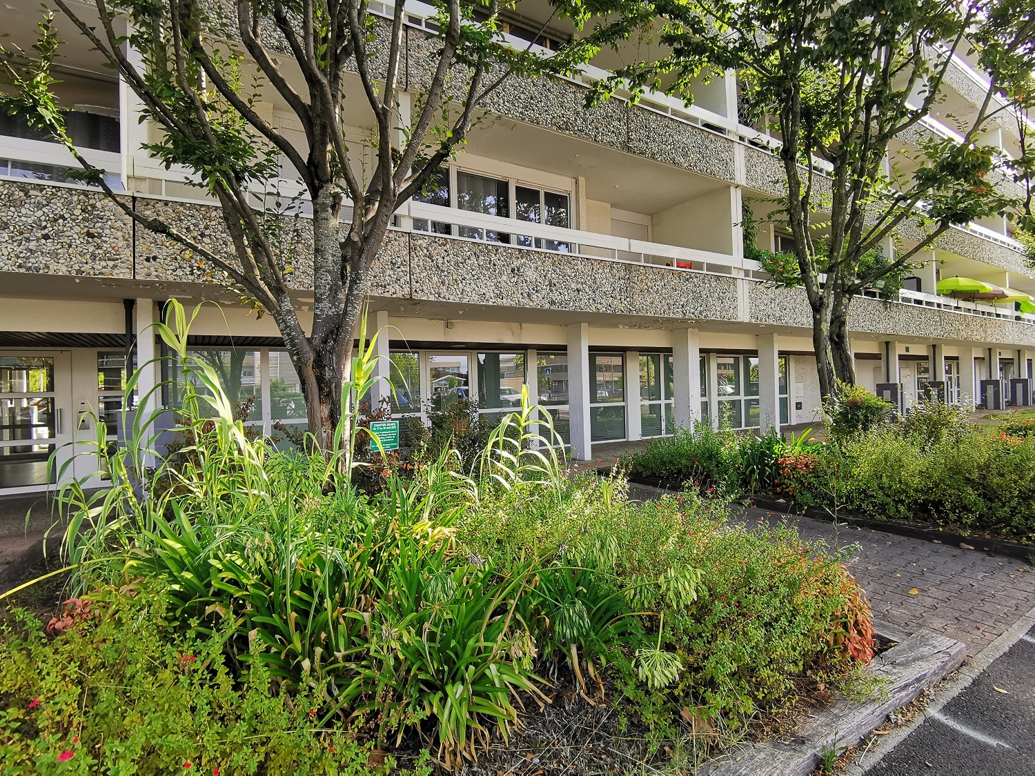Emplacement de la Maison du projet à venir