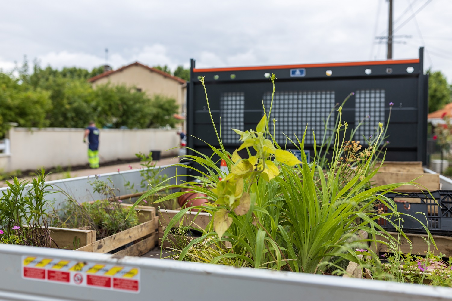 plantation au Loret
