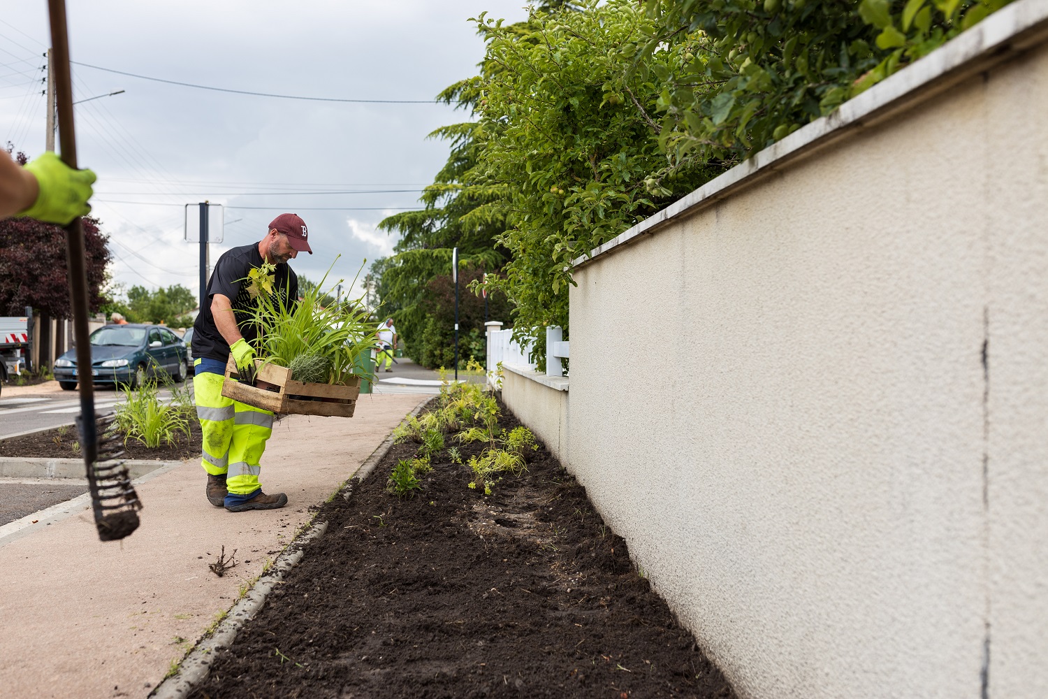 plantation au Loret