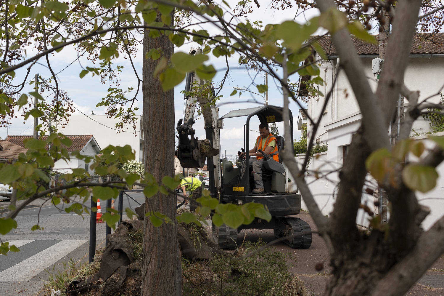 travaux plantations cours Victor Hugo