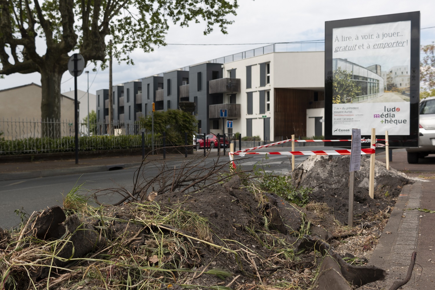 travaux plantations cours Victor Hugo