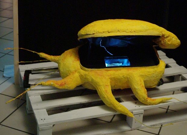 Une valise étoile de mer ? araignée pop ?