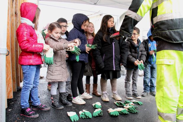 lesgants