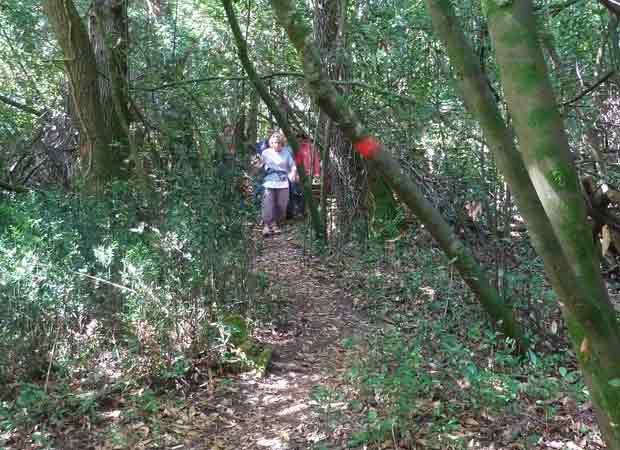 photo-2