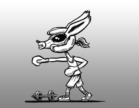 2014-animboxe