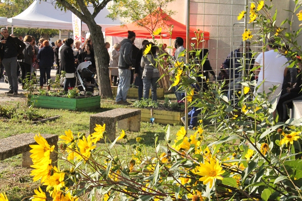 Stands et public pour le festi et l'animation je bichonne ma ville