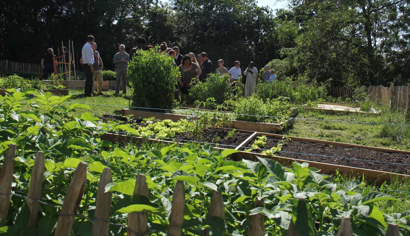 Les jardins partagés de Cenon