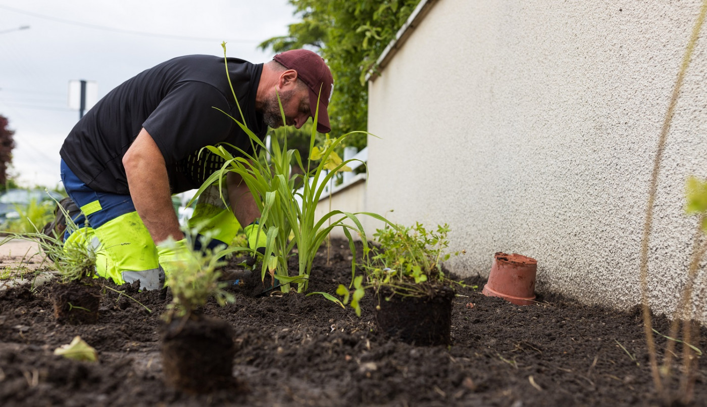 Plantations dans les rues du Loret