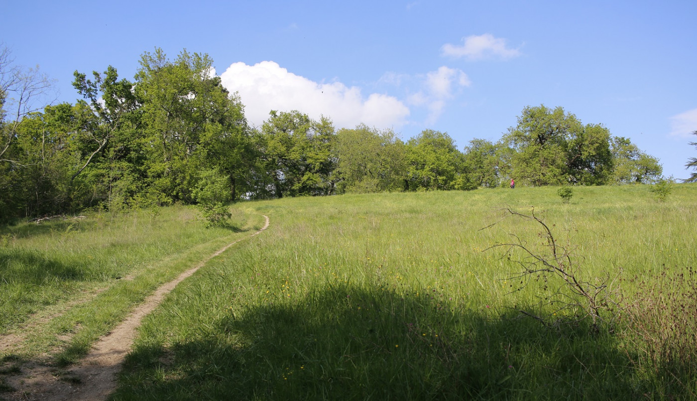 parc palmer