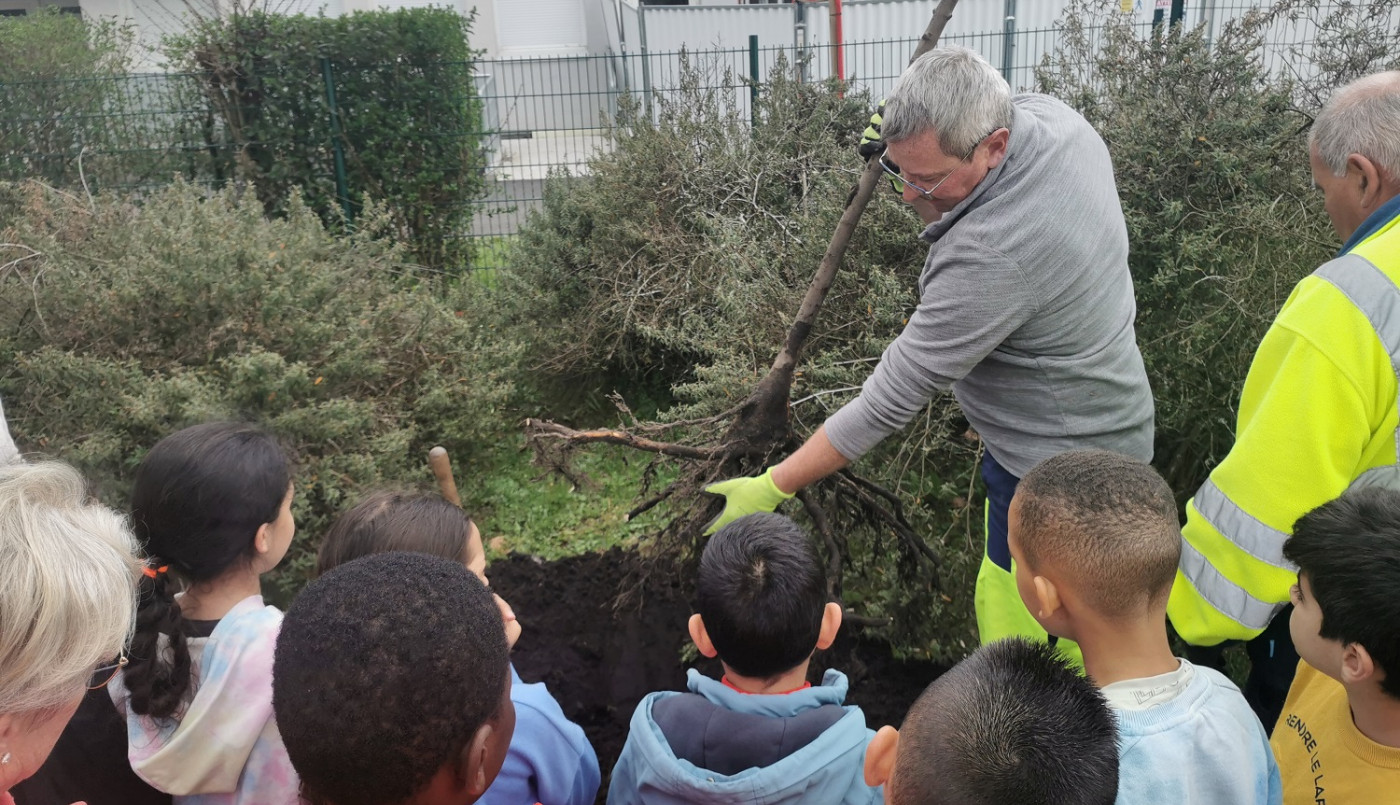 plantation d'un arbre à l'école Jules Michelet