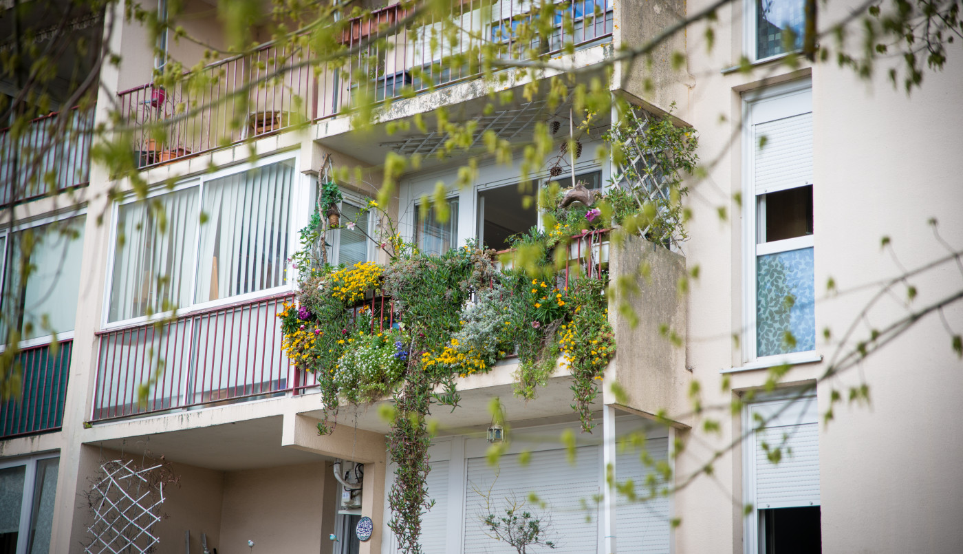 Jardinons Cenon : concours des balcons et jardins fleuris