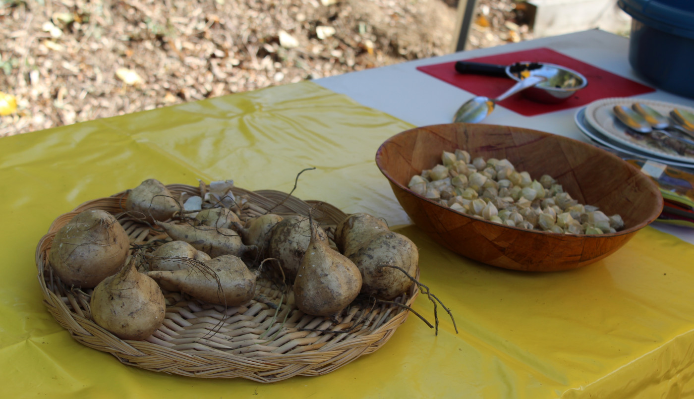 Cenon défend l’alimentation durable avec le Festival AlimenTERRE