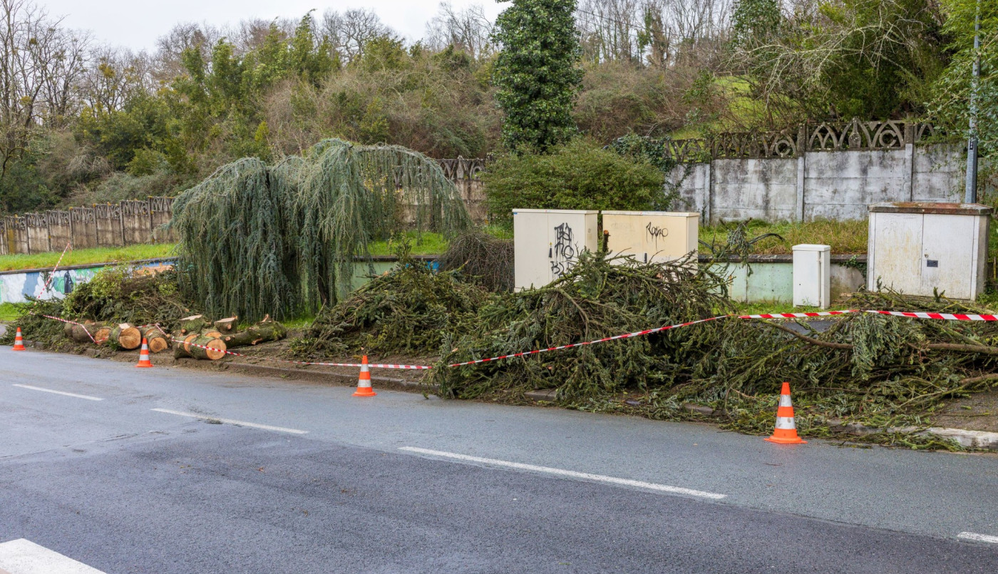 Tempête Nils : signalez vos dégâts en mairie