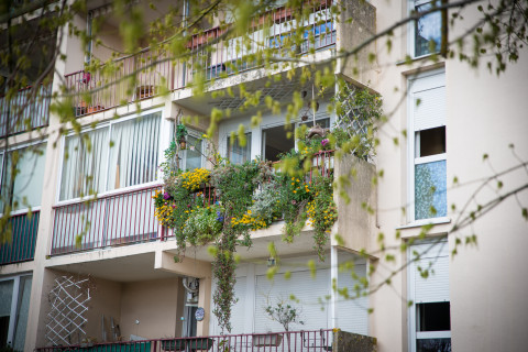 Jardinons Cenon : concours des balcons et jardins fleuris