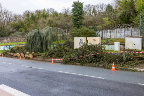 Tempête Nils : signalez vos dégâts en mairie