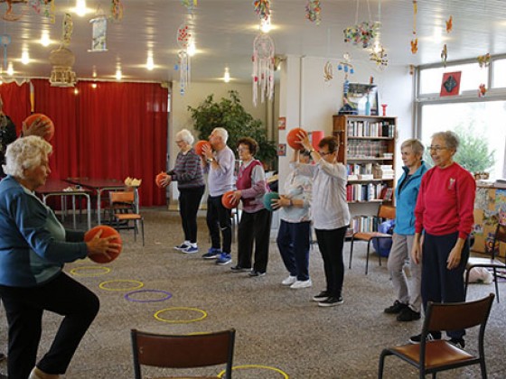 séances d'entrainement seniors 