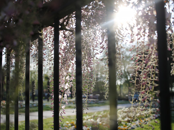 Depuis l'entrée du parc Palmer