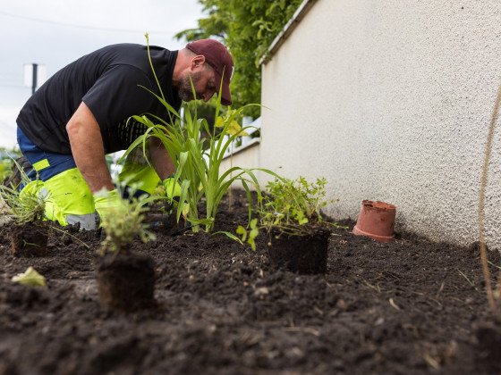 Plantations dans les rues du Loret