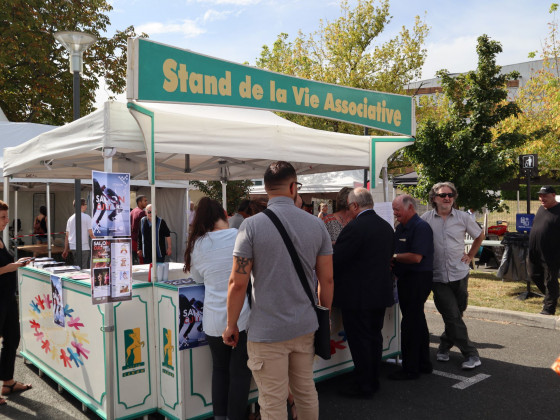Le Conseil Local de la Vie Associative