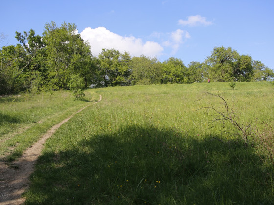 parc palmer